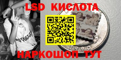 прущие грибы Будённовск