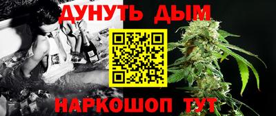 прущие грибы Будённовск