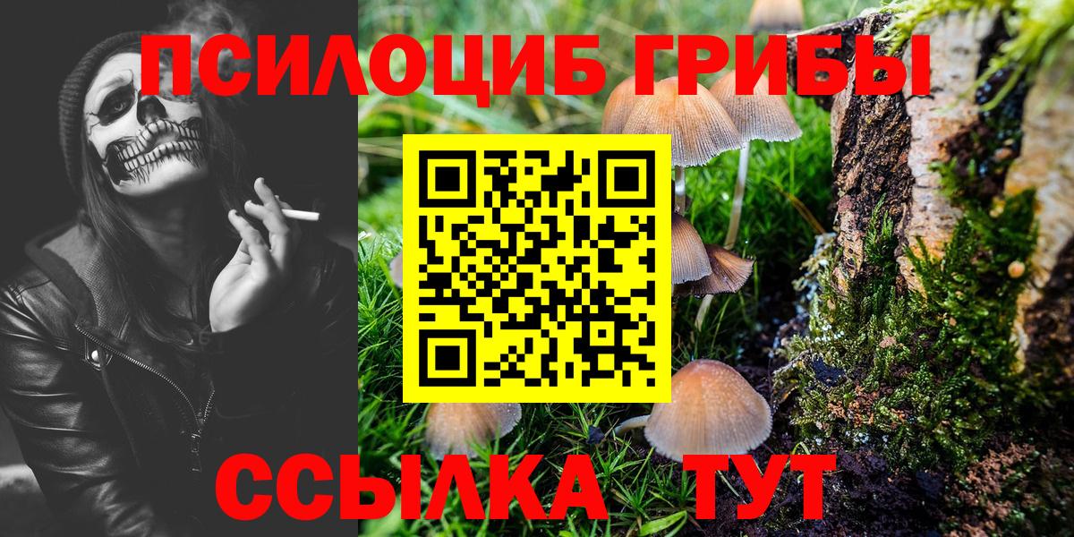 Псилоцибиновые грибы прущие грибы Костомукша